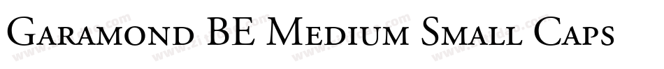 Garamond BE Medium Small Caps & Oldstyle Figures字体转换